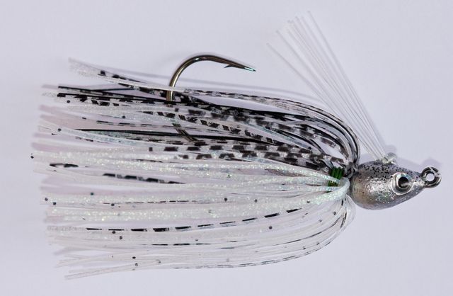 Swim Jig Common Shiner